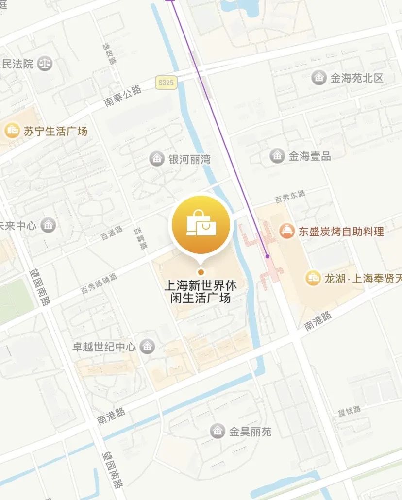 【海湖汇法拍房】二拍 上海市奉贤区金海公路3399号（两间店铺）