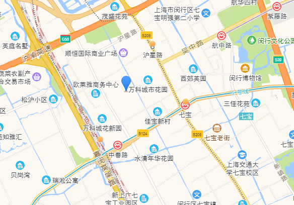 【海湖汇法拍房】上海市闵行区中春路8888弄130号全幢