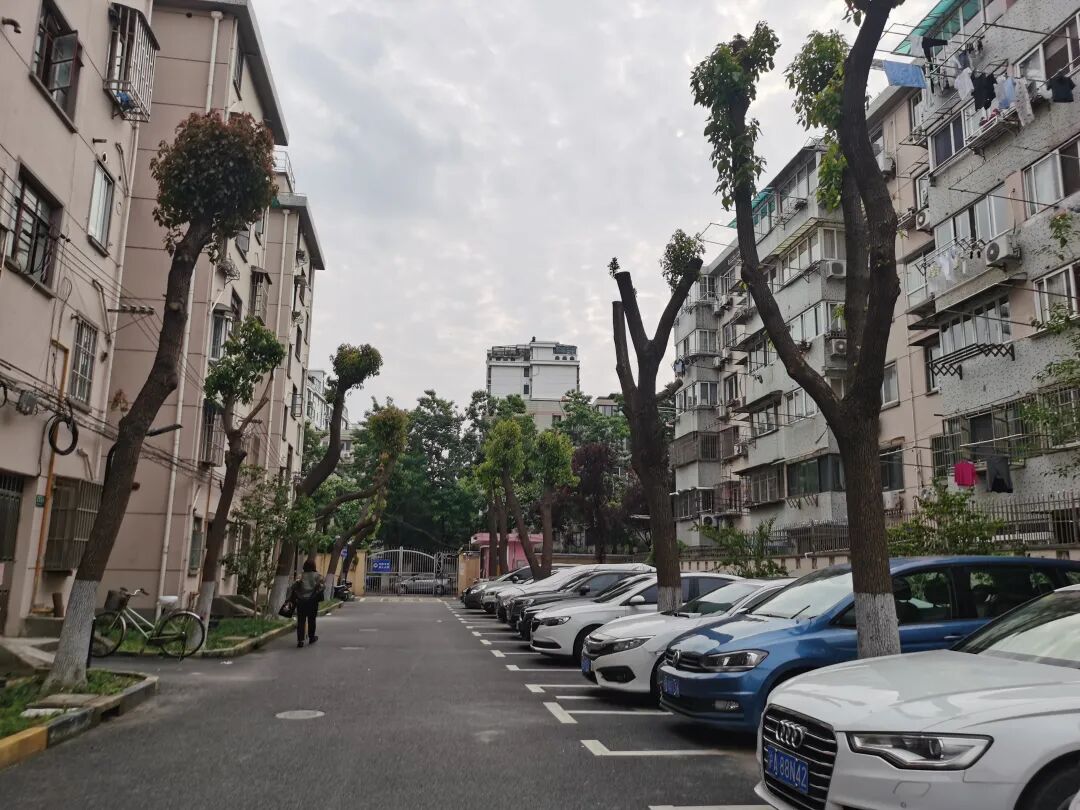 【海湖汇法拍房】二拍 上海市闵行区龙柏三村154号102室