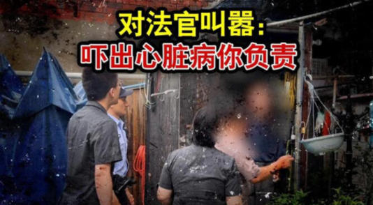 执行法官现场执法，被执行人对法官叫嚣